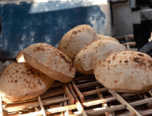 A Taste of Home: The Comfort of Egyptian Baladi Bread